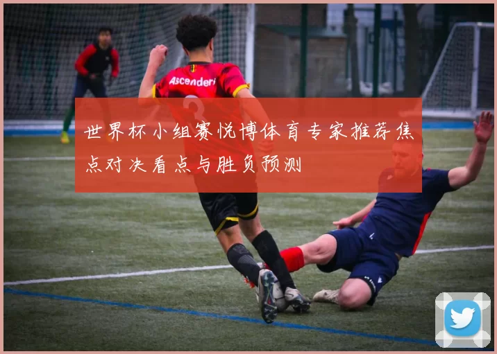 世界杯小组赛悦博体育专家推荐焦点对决看点与胜负预测