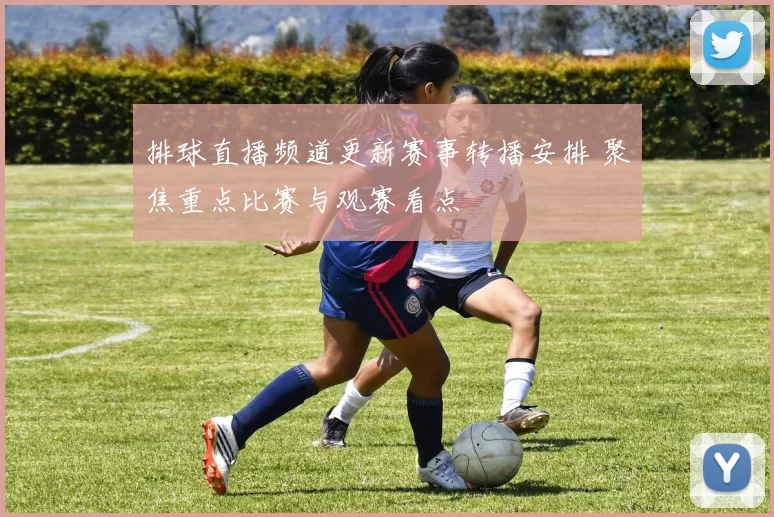 排球直播频道更新赛事转播安排 聚焦重点比赛与观赛看点