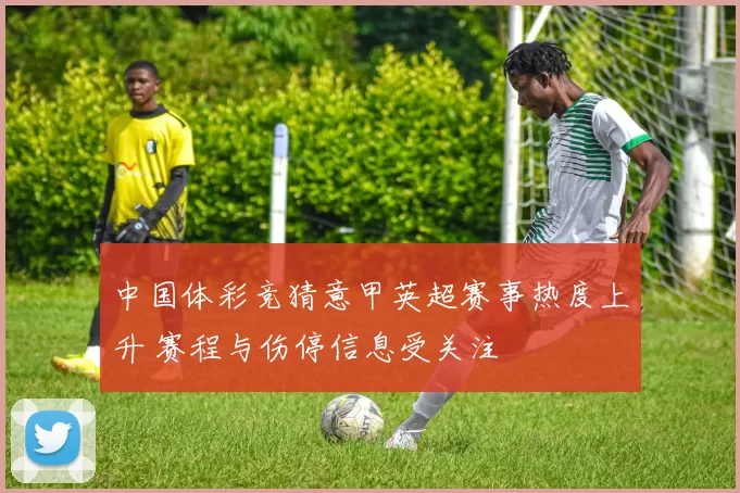 中国体彩竞猜意甲英超赛事热度上升 赛程与伤停信息受关注