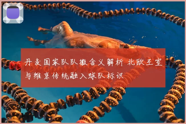 丹麦国家队队徽含义解析 北欧王室与维京传统融入球队标识