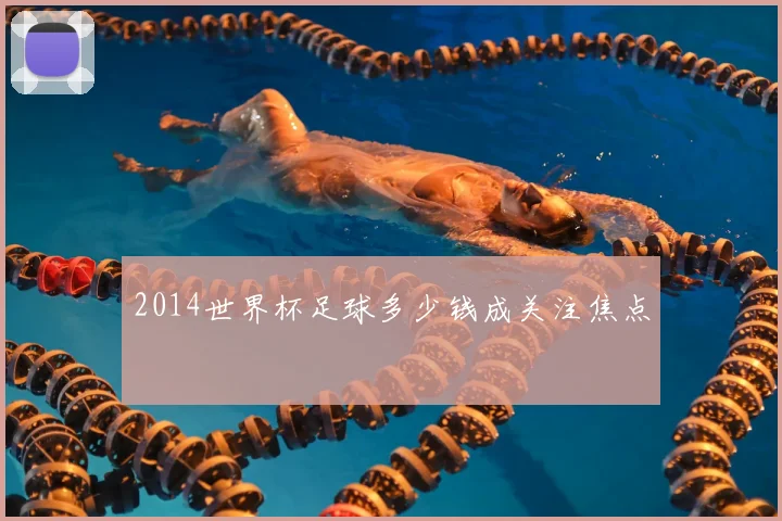 2014世界杯足球多少钱成关注焦点