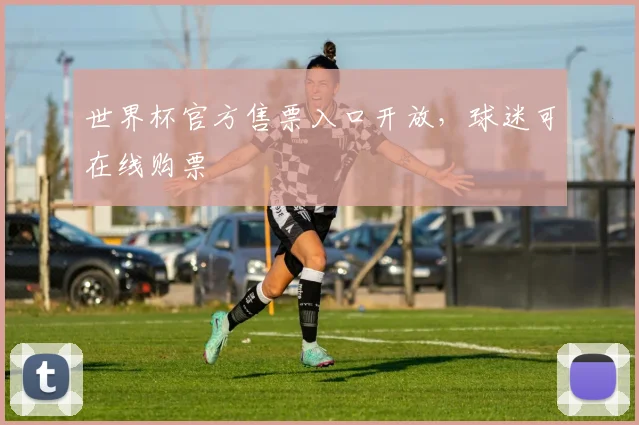 世界杯官方售票入口开放,球迷可在线购票