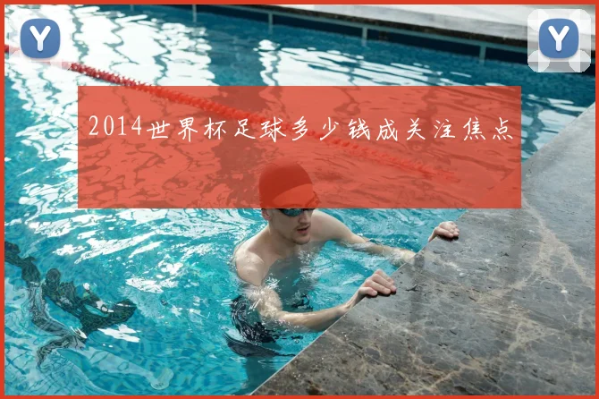 2014世界杯足球多少钱成关注焦点