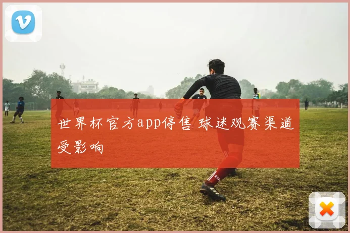 世界杯官方app停售 球迷观赛渠道受影响