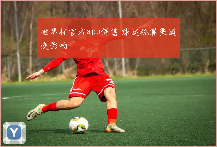 世界杯官方app停售 球迷观赛渠道受影响